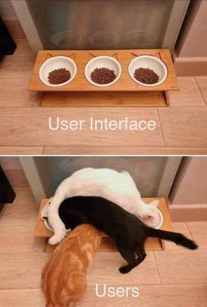 User interface versus reality
